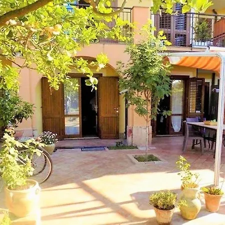 Limone Di Sicilia